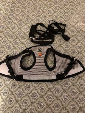 Reflective Mesh Small Dog and Cat Step-In Vest Harness and Leash Set Size S